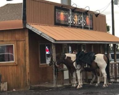 A picture of a saloon with a sign reading 'Busters' on the roof. There is a horse with a black saddle parked outside the establishment