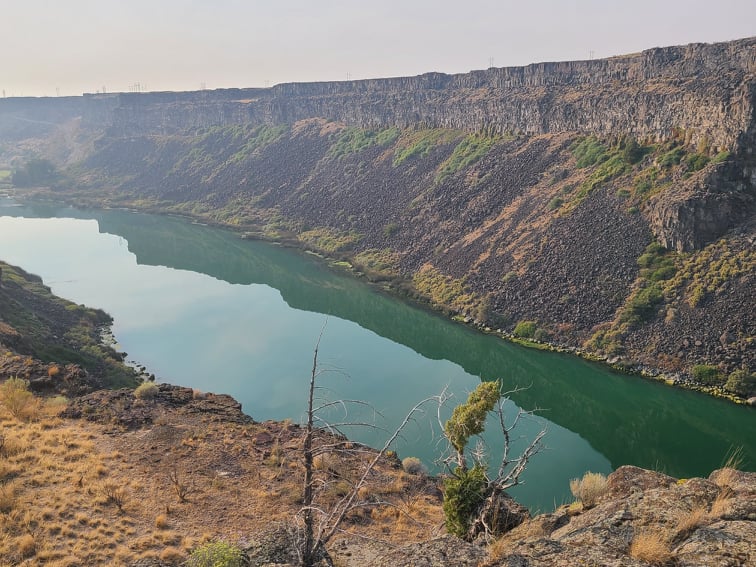 A picture of a green river.